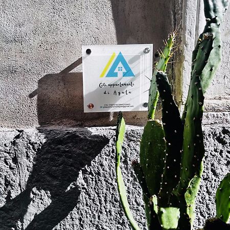 Gli Appartamenti Di Agata カターニア エクステリア 写真
